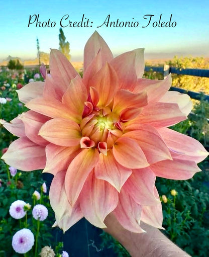 Salish October Wedding - Tuber